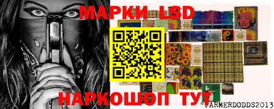 spice Камень-на-Оби
