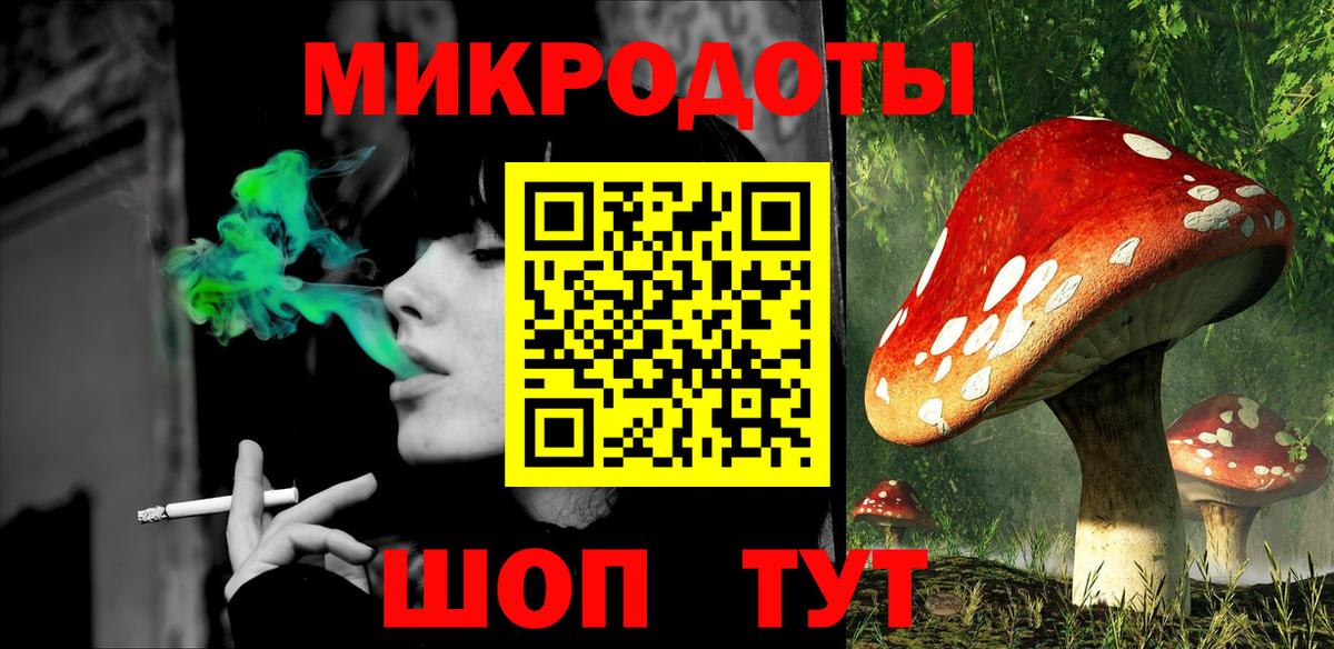 Псилоцибиновые грибы Psilocybe  Псилоцибиновые грибы прущие грибы  Новошахтинск  Вход с VPN 